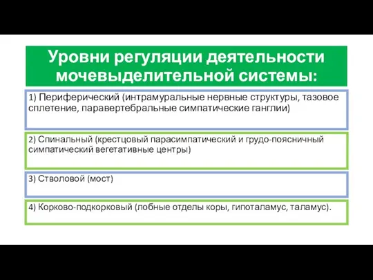 Уровни регуляции деятельности мочевыделительной системы: 1) Периферический (интрамуральные нервные структуры, тазовое