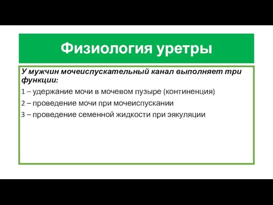 Физиология уретры У мужчин мочеиспускательный канал выполняет три функции: 1 –