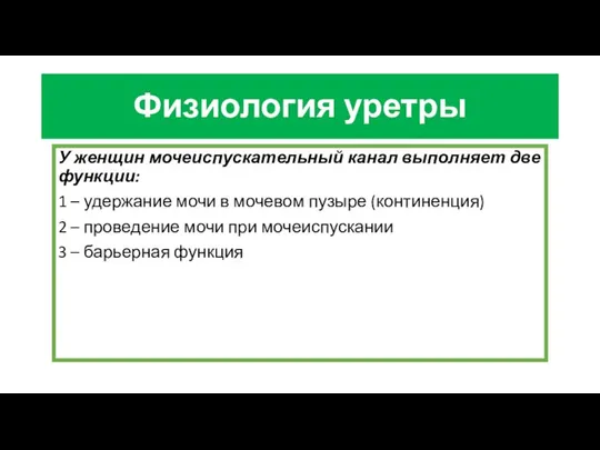 Физиология уретры У женщин мочеиспускательный канал выполняет две функции: 1 –