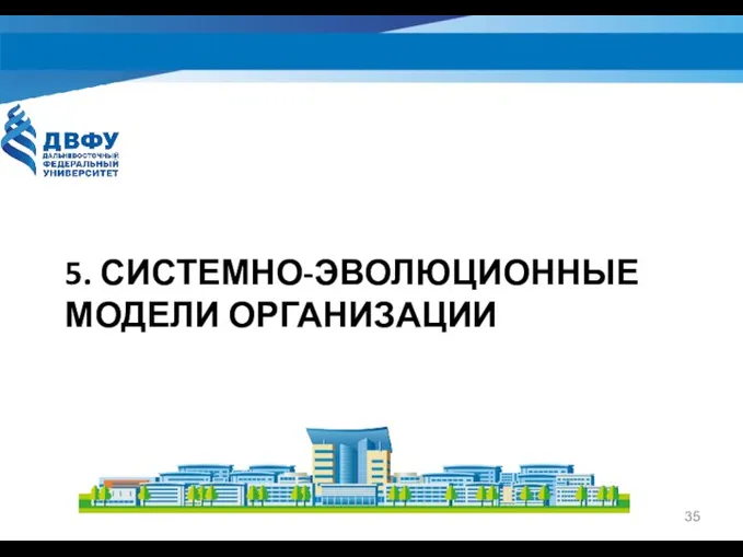 5. СИСТЕМНО-ЭВОЛЮЦИОННЫЕ МОДЕЛИ ОРГАНИЗАЦИИ