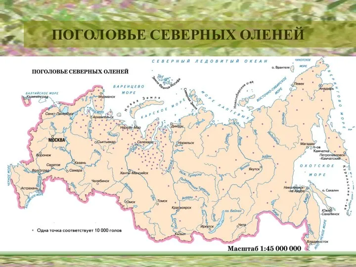 ПОГОЛОВЬЕ СЕВЕРНЫХ ОЛЕНЕЙ