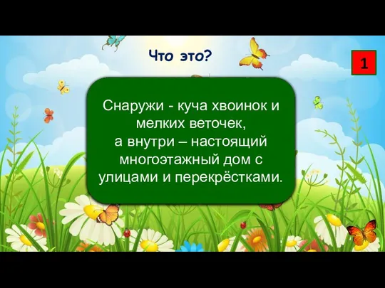 1 Что это? Снаружи - куча хвоинок и мелких веточек, а