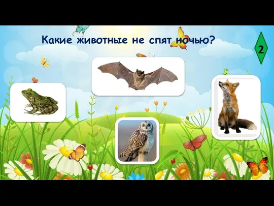 2 Какие животные не спят ночью?