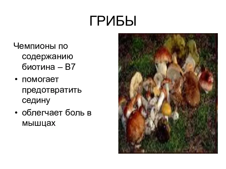 ГРИБЫ Чемпионы по содержанию биотина – В7 помогает предотвратить седину облегчает боль в мышцах