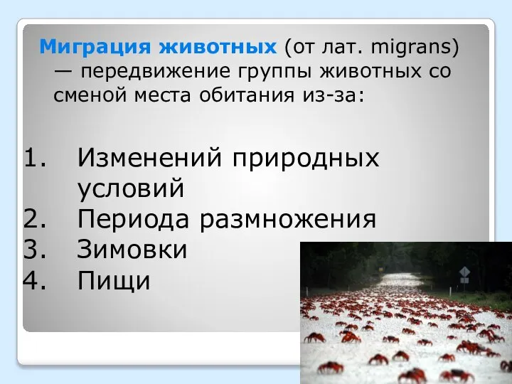 Миграция животных (от лат. migrans) — передвижение группы животных со сменой