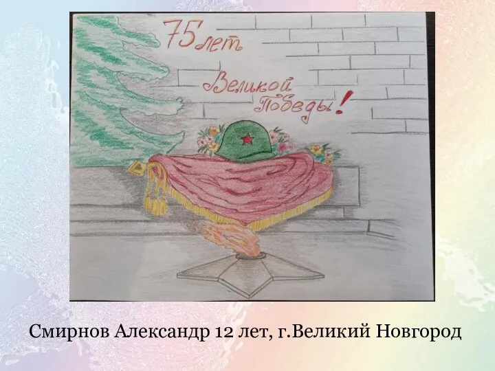 Смирнов Александр 12 лет, г.Великий Новгород