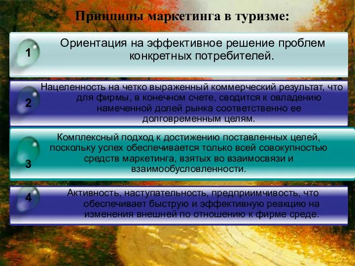 Ориентация на эффективное решение проблем конкретных потребителей. Нацеленность на четко выраженный