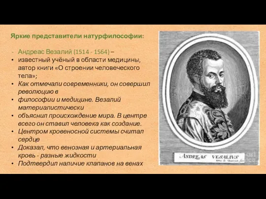 Яркие представители натурфилософии: Андреас Везалий (1514 - 1564) – известный учёный