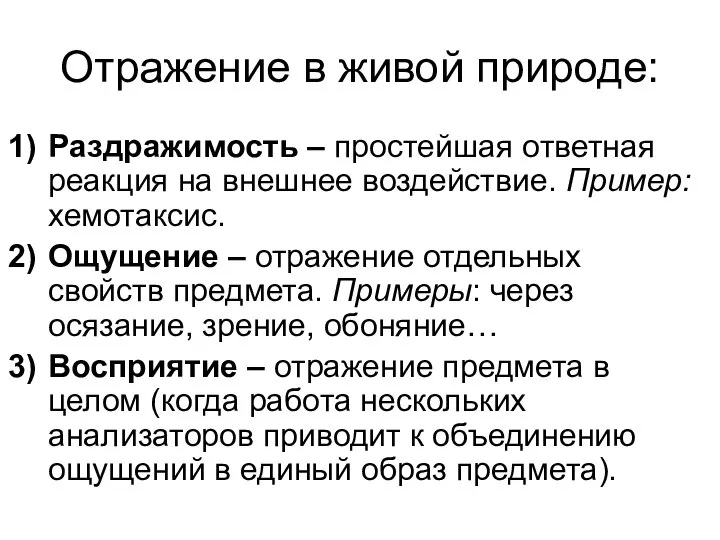 Отражение в живой природе: Раздражимость – простейшая ответная реакция на внешнее