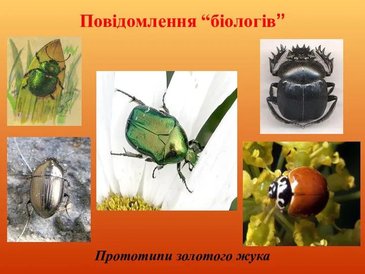 Повідомлення “біологів” Прототипи золотого жука