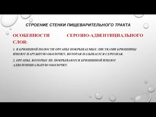 СТРОЕНИЕ СТЕНКИ ПИЩЕВАРИТЕЛЬНОГО ТРАКТА ОСОБЕННОСТИ СЕРОЗНО-АДВЕНТИЦИАЛЬНОГО СЛОЯ: 1. В БРЮШНОЙ ПОЛОСТИ