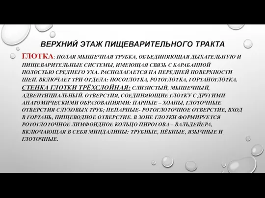 ВЕРХНИЙ ЭТАЖ ПИЩЕВАРИТЕЛЬНОГО ТРАКТА ГЛОТКА: ПОЛАЯ МЫШЕЧНАЯ ТРУБКА, ОБЪЕДИНЯЮЩАЯ ДЫХАТЕЛЬНУЮ И