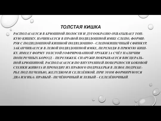 ТОЛСТАЯ КИШКА РАСПОЛАГАЕТСЯ В БРЮШНОЙ ПОЛОСТИ И ДУГООБРАЗНО ОХВАТЫВАЕТ ТОН-КУЮ КИШКУ.