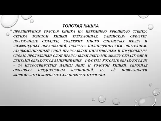 ТОЛСТАЯ КИШКА ПРОЕЦИРУЕТСЯ ТОЛСТАЯ КИШКА НА ПЕРЕДНЮЮ БРЮШНУЮ СТЕНКУ. СТЕНКА ТОЛСТОЙ