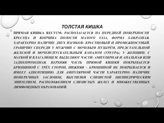 ТОЛСТАЯ КИШКА ПРЯМАЯ КИШКА RECTUM: РАСПОЛАГАЕТСЯ НА ПЕРЕДНЕЙ ПОВЕРХНОСТИ КРЕСТЦА И