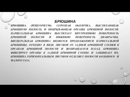 БРЮШИНА БРЮШИНА (PERITONEUM)- СЕРОЗНАЯ ОБОЛОЧКА, ВЫСТИЛАЮЩАЯ БРЮШНУЮ ПОЛОСТЬ И ПОКРЫВАЮЩАЯ ОРГАНЫ