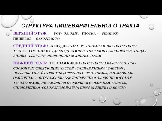 СТРУКТУРА ПИЩЕВАРИТЕЛЬНОГО ТРАКТА. ВЕРХНИЙ ЭТАЖ: РОТ- OS, ORIS ; ГЛОТКА –