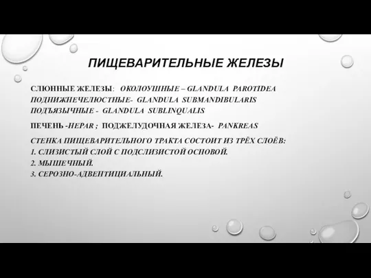 ПИЩЕВАРИТЕЛЬНЫЕ ЖЕЛЕЗЫ СЛЮННЫЕ ЖЕЛЕЗЫ: ОКОЛОУШНЫЕ – GLANDULA PAROTIDEA ПОДНИЖНЕЧЕЛЮСТНЫЕ- GLANDULA SUBMANDIBULARIS