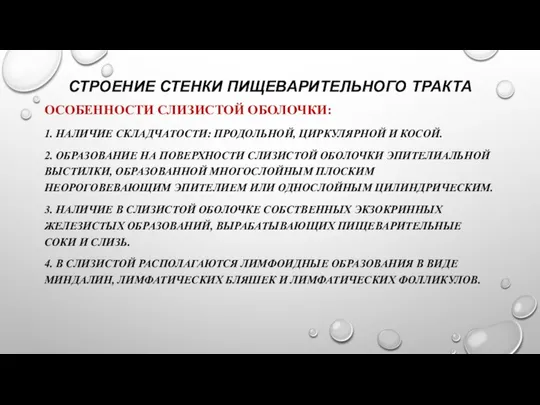 СТРОЕНИЕ СТЕНКИ ПИЩЕВАРИТЕЛЬНОГО ТРАКТА ОСОБЕННОСТИ СЛИЗИСТОЙ ОБОЛОЧКИ: 1. НАЛИЧИЕ СКЛАДЧАТОСТИ: ПРОДОЛЬНОЙ,