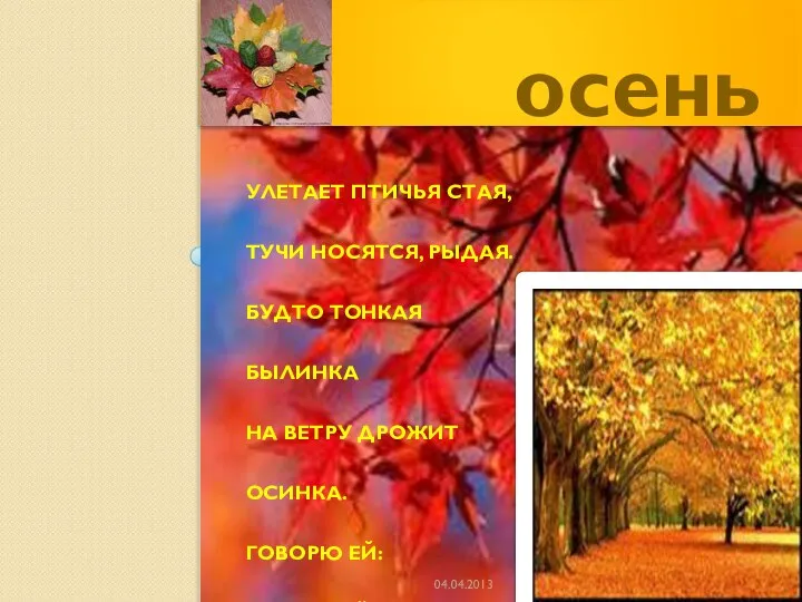 УЛЕТАЕТ ПТИЧЬЯ СТАЯ, ТУЧИ НОСЯТСЯ, РЫДАЯ. БУДТО ТОНКАЯ БЫЛИНКА НА ВЕТРУ