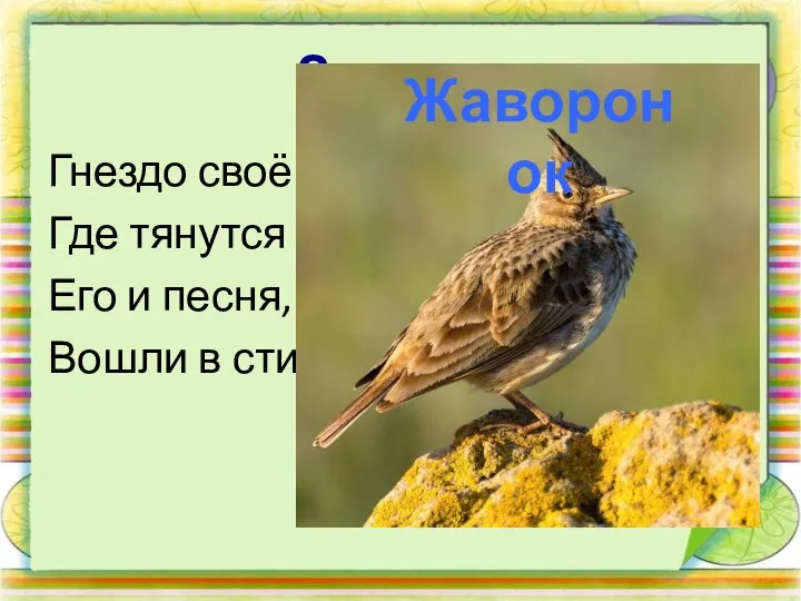 Загадка Гнездо своё он в поле вьёт, Где тянутся растения. Его