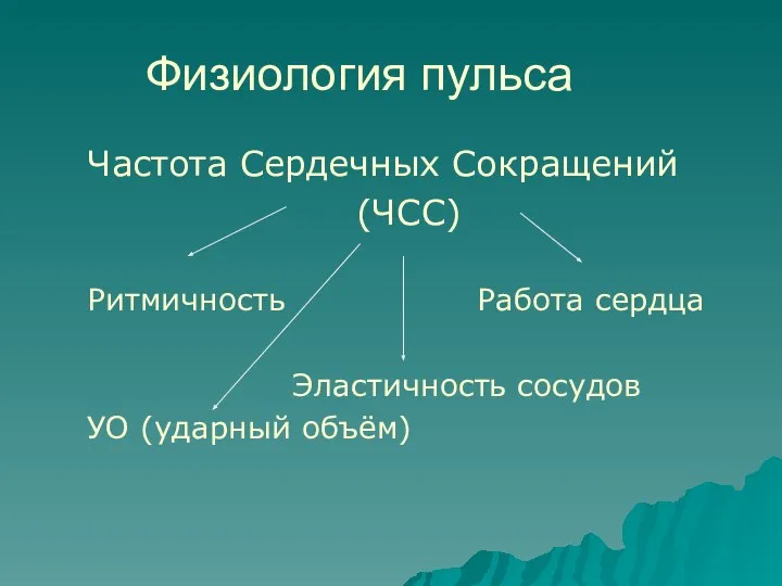 Физиология пульса Частота Сердечных Сокращений (ЧСС) Ритмичность Работа сердца Эластичность сосудов УО (ударный объём)