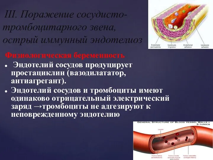 Физиологическая беременность Эндотелий сосудов продуцирует простациклин (вазодилататор, антиагрегант). Эндотелий сосудов и