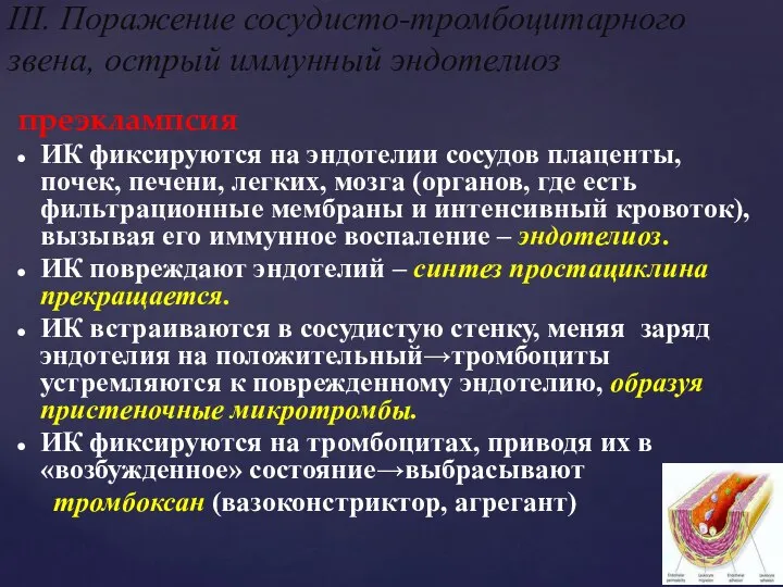 преэклампсия ИК фиксируются на эндотелии сосудов плаценты, почек, печени, легких, мозга