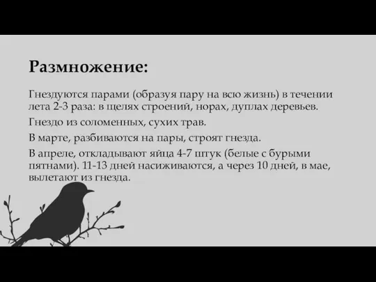 Размножение: Гнездуются парами (образуя пару на всю жизнь) в течении лета