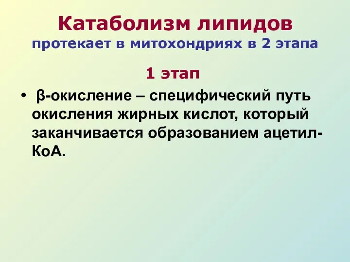 Катаболизм липидов протекает в митохондриях в 2 этапа 1 этап β-окисление