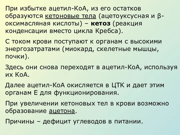 При избытке ацетил-КоА, из его остатков образуются кетоновые тела (ацетоуксусная и