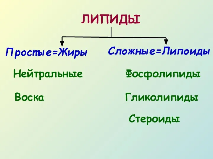 ЛИПИДЫ Простые=Жиры Сложные=Липоиды Нейтральные Воска Гликолипиды Фосфолипиды Стероиды