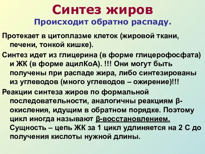 Синтез жиров Происходит обратно распаду. Протекает в цитоплазме клеток (жировой ткани,