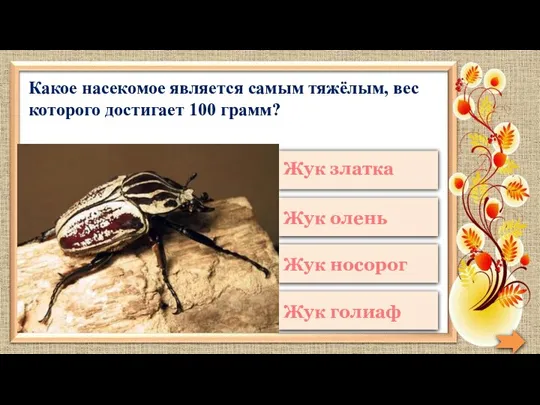 Какое насекомое является самым тяжёлым, вес которого достигает 100 грамм?