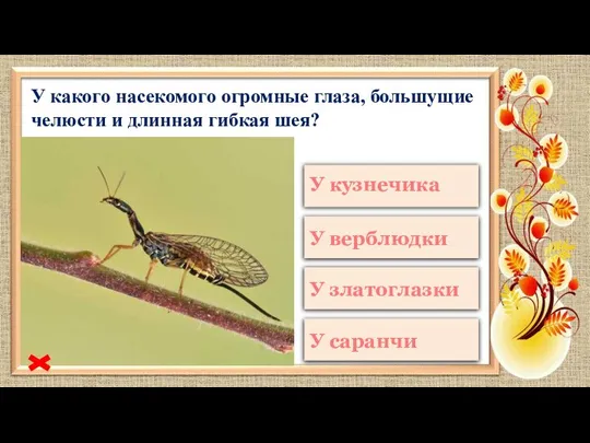 У какого насекомого огромные глаза, большущие челюсти и длинная гибкая шея?