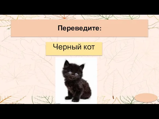 Переведите: Черный кот