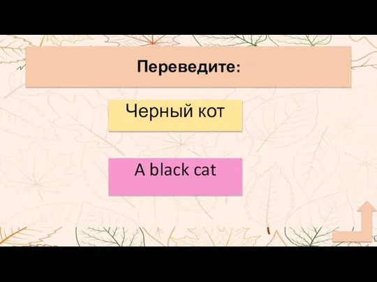 Переведите: Черный кот A black cat