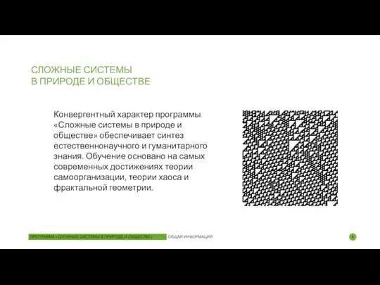 Конвергентный характер программы «Сложные системы в природе и обществе» обеспечивает синтез