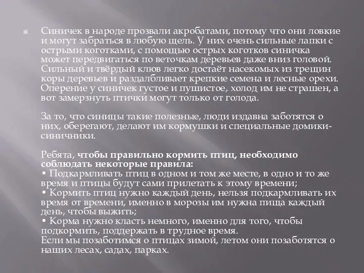 Синичек в народе прозвали акробатами, потому что они ловкие и могут