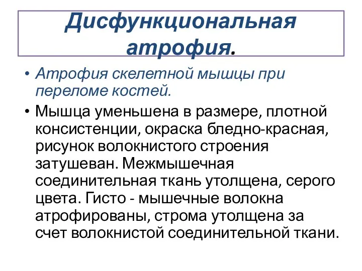 Дисфункциональная атрофия. Атрофия скелетной мышцы при переломе костей. Мышца уменьшена в