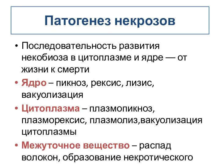 Патогенез некрозов Последовательность развития некобиоза в цитоплазме и ядре –– от