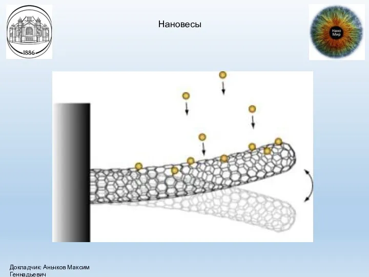 Нановесы Докладчик: Аньчков Максим Геннадьевич