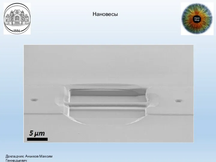 Нановесы Докладчик: Аньчков Максим Геннадьевич