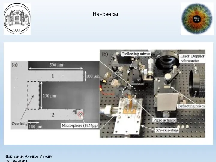 Нановесы Докладчик: Аньчков Максим Геннадьевич