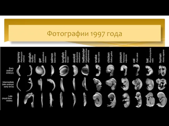 Фотографии 1997 года