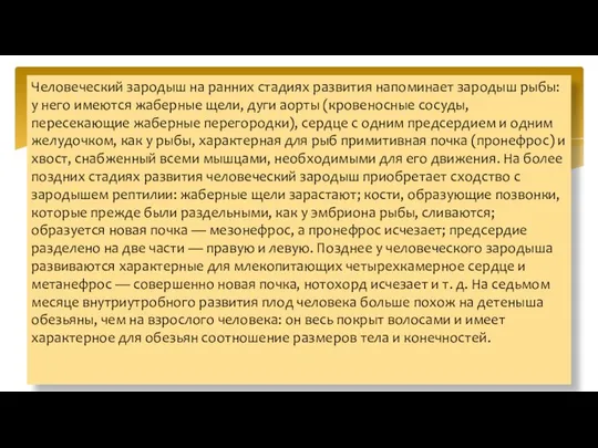 Человеческий зародыш на ранних стадиях развития напоминает зародыш рыбы: у него