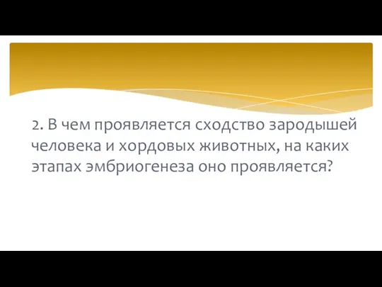 2. В чем проявляется сходство зародышей человека и хордовых животных, на каких этапах эмбриогенеза оно проявляется?