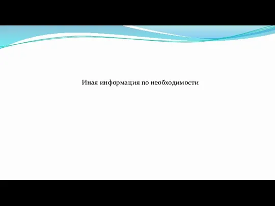 Иная информация по необходимости