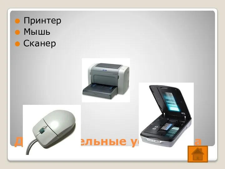 Дополнительные устройства Принтер Мышь Сканер