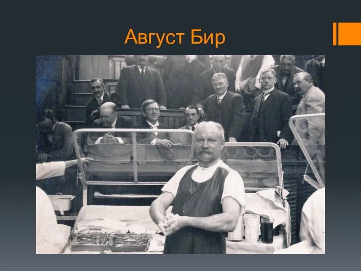 Август Бир